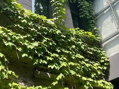 -河畔春天时尚餐厅