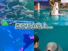 -威海华夏城景区