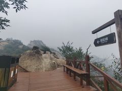 -大岭沟猕猴桃谷风景区