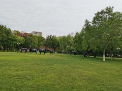 -国家动漫园