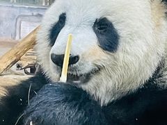 -海南热带野生动植物园