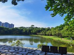 -东莞植物园