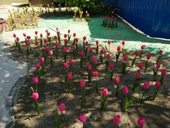 景点-盈香心动乐园