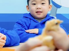 -斯坦星球AI编程·机器人科创·科学实验·信奥·思维·STEM·积木拼搭·竞赛考级(浦东联洋广场大拇指龙阳御桥中心)