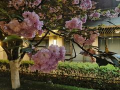 -仁恒西郊花园