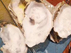 -千岛蚝高压锅生蚝·人参火锅(白云万达店)