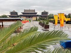 -大槐树寻根祭祖园