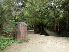 -武夷山风景名胜区-玉女峰
