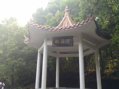 -四会奇石河风景区
