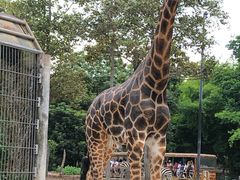 -清迈夜间动物园