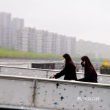轮渡轮渡