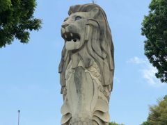 -圣淘沙天际线斜坡滑车