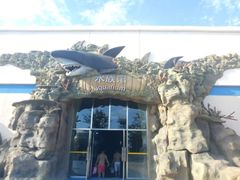 -秦皇岛乐岛海洋王国