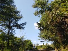 -东白山