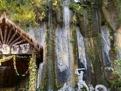 -西双版纳原始森林公园