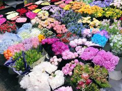 -双季花艺园艺市场(浦东店)