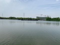 -绍兴镜湖国家城市湿地公园