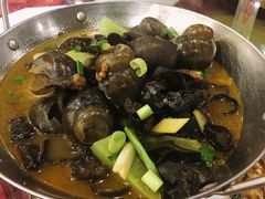 -碧丽宫大酒店(召稼楼店)