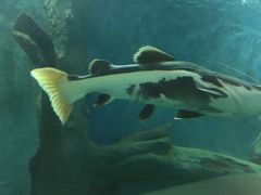 -苏州海洋馆