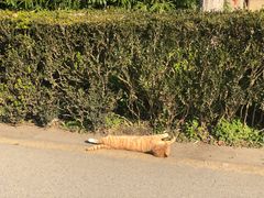 -巧云大馄饨(南阴阳营总店)