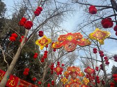 -梨花自助烤肉(西三旗万象汇黑金店)