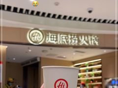 -海底捞火锅(翔龙天地广场店)