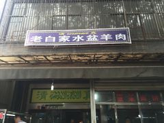 -老白家水盆羊肉