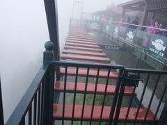 -梦幻奥陶纪景区