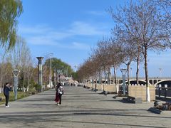-伊犁河景区