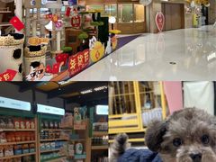 -帕帕拉兹宠物(亚洲旗舰店)