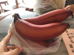 -大湾区中央湿地公园-十九涌