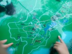 -石家庄市动物园