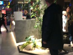 -老头儿油爆虾(星光一期店)