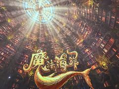 -海合安成都极地海洋公园