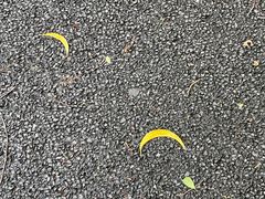 -白云山风景名胜区