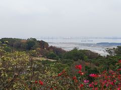-广州莲花山旅游区