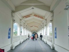 -横琴客运码头