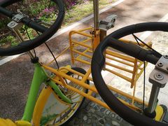 -合肥滨湖国家森林公园