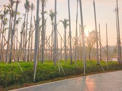 -宝安西湾红树林湿地公园