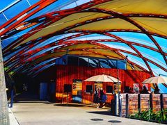 -怀托摩萤火虫洞