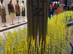 -鹏欣水游城