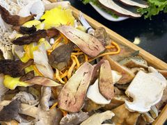 -草墩罗非鱼庄•野生菌•腊排骨(七星街上段店)