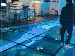 -上海长江河口科技馆