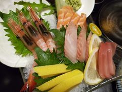 -春草居酒屋·晴子の店