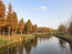 -溱湖国家湿地公园