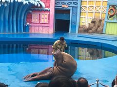 -华夏文旅海洋公园