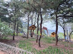 -北京西山国家森林公园