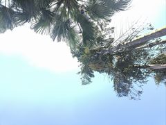 -重庆海昌加勒比海水世界