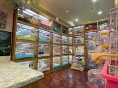 -宠物兔专门店(天丰利市场店)