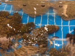 -新丁香海鲜酒店(银海商贸城店)